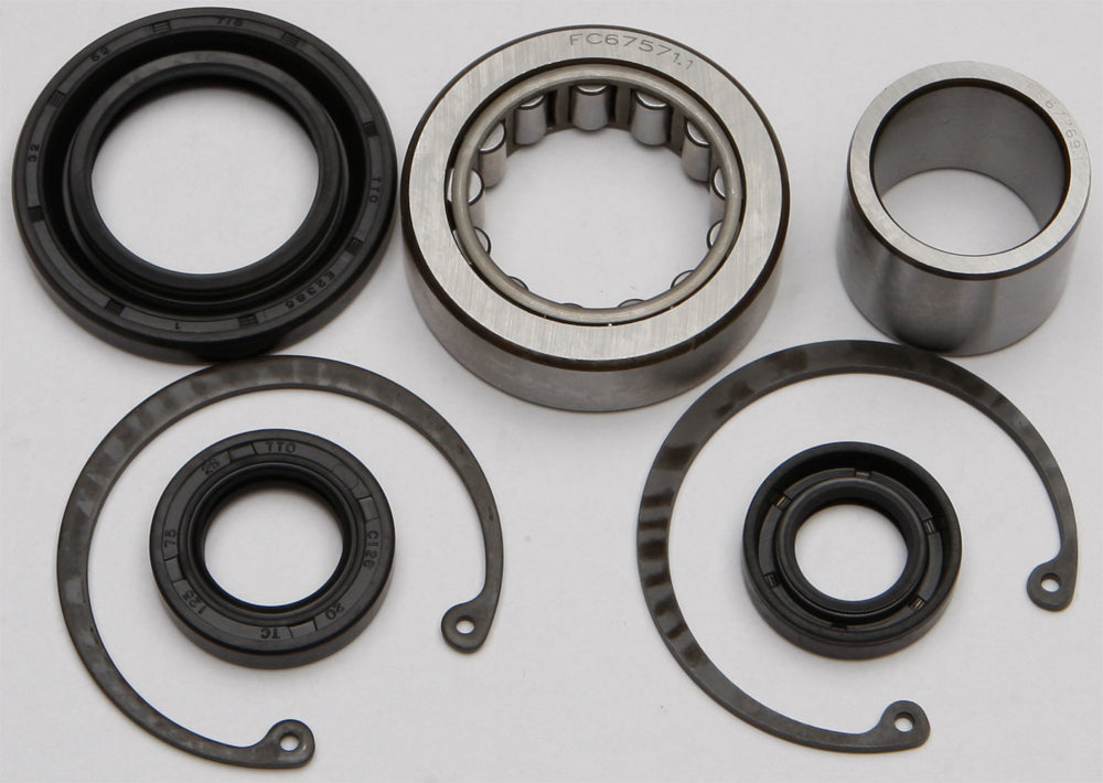 All Balls drive inner primary bearing and seal kit 22-53101 showing metallic bearing, rubber seals, and installation components.