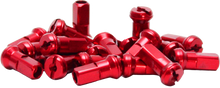 Load image into Gallery viewer, 6047-618ab1e751ae8.png