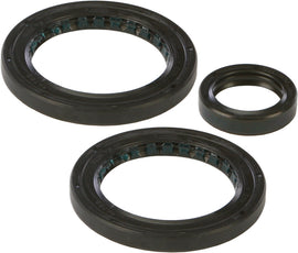 All Balls differential drive seal kit 22-520565 showing black rubber seals and metal components for vehicle drivetrain repair