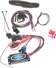 Load image into Gallery viewer, 6352-600602eba9c17.jpeg