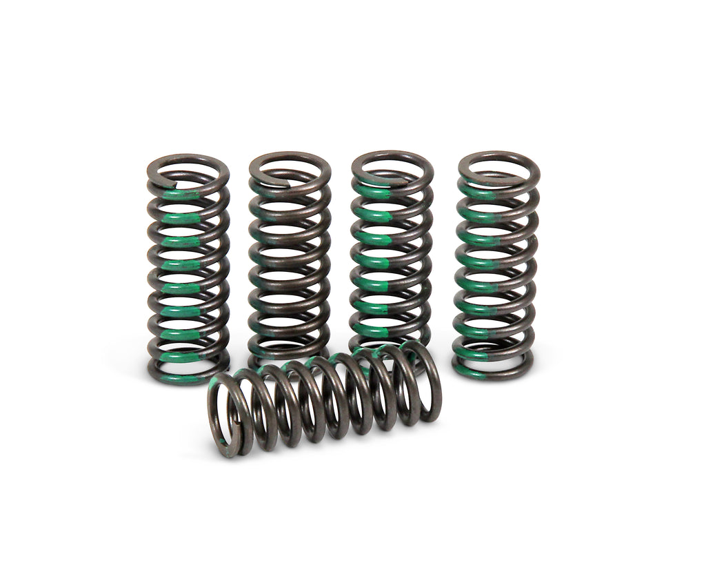 Pro Circuit clutch springs 793-6031, durable motorcycle clutch components, shown in close-up with springs and metal parts.