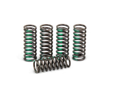 Load image into Gallery viewer, Pro Circuit clutch springs 793-6031, durable motorcycle clutch components, shown in close-up with springs and metal parts.