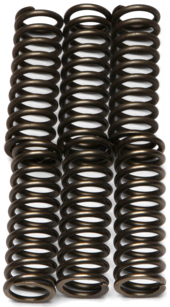 EBC Motorcycle Brakes clutch springs for Csk125 model, showing a set of metal clutch springs with coiled design and mounting ends.