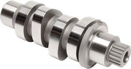 594 Grind Cam M8 17 24 (Exc.Vvt)