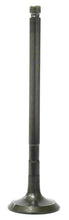 Load image into Gallery viewer, Bronco engine exhaust valve 183-09193E showing metal valve with stem and spring assembly in an automotive setting