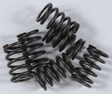 Charger l'image dans la galerie, High Performance Spring Set