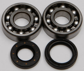 All Balls engine crankshaft bearing and seal kit 22-41024 showing metal bearings and rubber seals for engine repair.