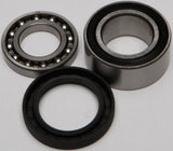 All Balls - Chain Case Bearing & Seal Kit - 141-9010