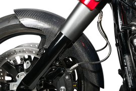 Carbon Fiber Shorty Fender Front 19