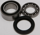 All Balls - Chain Case Bearing & Seal Kit - 141-9011
