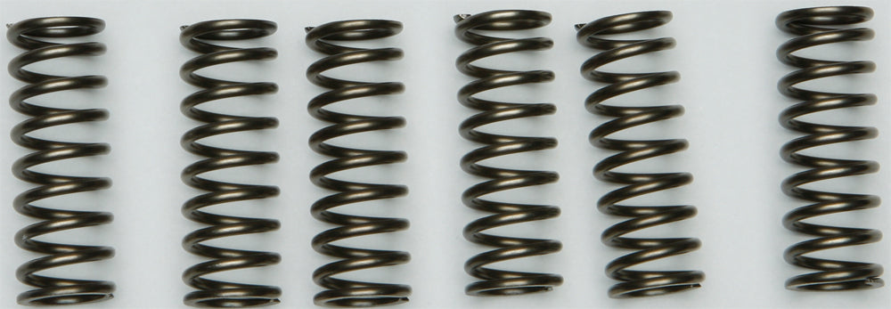 EBC Motorcycle Brakes clutch springs Csk205 15-17205, close-up of black coil springs used in motorcycle clutch assembly