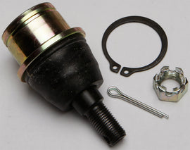 70db-572a5e5c52f97.jpg