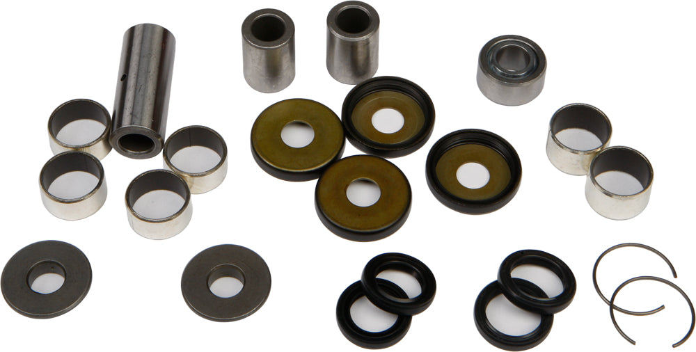All Balls suspension linkage bearing kit 245-1002 with multiple bearings and components for motorcycle suspension system.