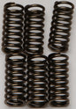 76d1-572a5373cc43d.jpg