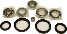 All Balls differential drive bearing and seal kit with various bearings and seals for vehicle differential maintenance.