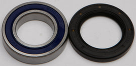 All Balls Drive Wheel Bearing and Seal Kit 22-51118 with bearings and seals for vehicle wheel assembly.