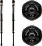 79b1-6813c46454f55.png