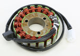 Ricks Motorsport Electric - Stator - 27-21306
