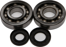 All Balls engine crankshaft bearing and seal kit 22-41047 showing bearings and seals for engine repair