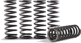 Hinson high temperature clutch spring kit 151-6319 showing metal springs and clutch components for performance drivetrain