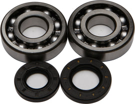 All Balls engine crankshaft bearing and seal kit 22-41009 with multiple bearings and seals for engine repair.