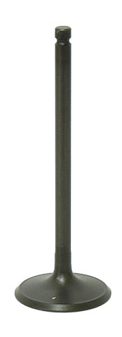 Bronco engine intake valve 183-09194 showing metal valve with stem and sealing surface for automotive engine repair.