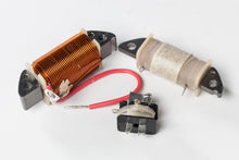 Load image into Gallery viewer, 8573-60a698ec34e61.jpg