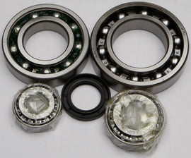 All Balls rear differential bearing and seal kit 22-52038 with bearings and seals for vehicle drivetrain maintenance