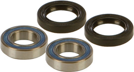 All Balls front wheel bearing and seal kit with multiple bearings and seals displayed for motorcycle or ATV wheel maintenance.