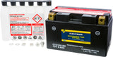 Fire Power - Battery Ctz10s-Bs Maintenance Free - 49-2293