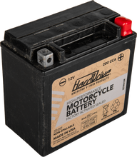 Charger l'image dans la galerie, Harddrive YTX14L high-performance motorcycle battery with 200 CCA, featuring durable construction and secure terminal connections.