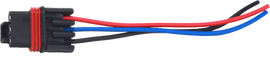 9427-66704fa4caa03.png