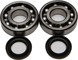 All Balls engine crankshaft bearing and seal kit 22-41045 with included bearings and seals for engine repair.