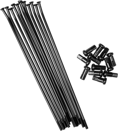 9523-6a91c195a16e9.png