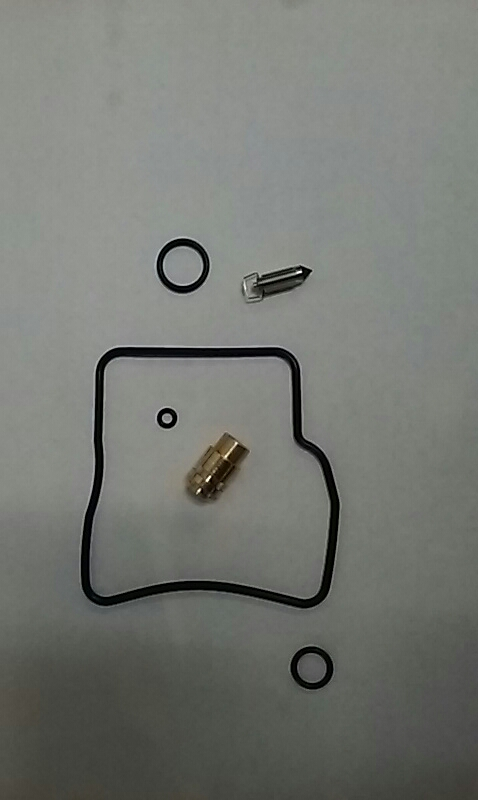 Carburetor Repair Kit