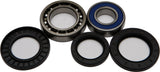 All Balls Wheel Bearing & Seal Kit 22-51017