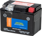 Battery Ctz5s Sealed Factory Activated