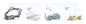 9ffe-5d13cb247ae9b.jpg