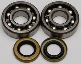 All Balls engine crankshaft bearing and seal kit 22-41102 with various seals and bearings for engine repair.