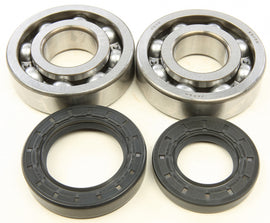 All Balls engine crankshaft bearing and seal kit 22-41005 with various bearings and seals arranged in packaging.