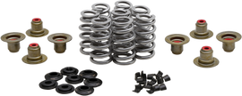 Beehive Valve Spring Kit .640 Lift  M8`17 24 Non Vvt