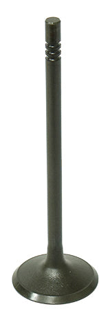 Bronco engine intake valve 183-09195 showing the metal valve with stem and valve head for automotive engine repair.