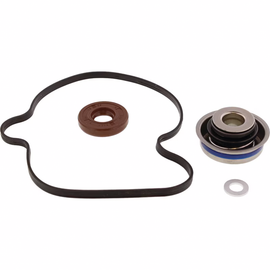 Vertex Water Pump Rebuild Kit 680-1015 for engine, showing components and parts laid out for maintenance and repair.