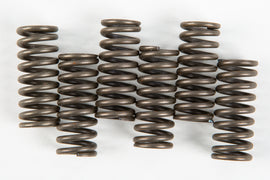 EBC Motorcycle Brakes clutch springs Csk53 15-1753, metal coil springs for motorcycle clutch system, close-up view