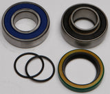 All Balls Chain Case Bearing & Seal Kit 141-9024