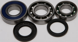 All Balls Drive Chain Case Bearing and Seal Kit 141-9060, includes bearings and seals for motorcycle chain drive maintenance.