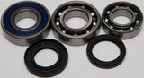 All Balls Chain Case Bearing & Seal Kit 141-9060