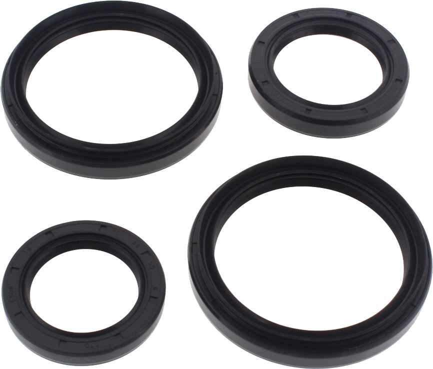 All Balls Differential Seal Kit 22-520505 for drive components, featuring seals and hardware, designed for durability and performance.