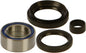All Balls wheel bearing and seal kit for drive components, showing metal bearings and rubber seals.