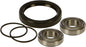 All Balls drive wheel bearing and seal kit 22-51008, showing new bearings and seals for motorcycle or vehicle wheel assembly.